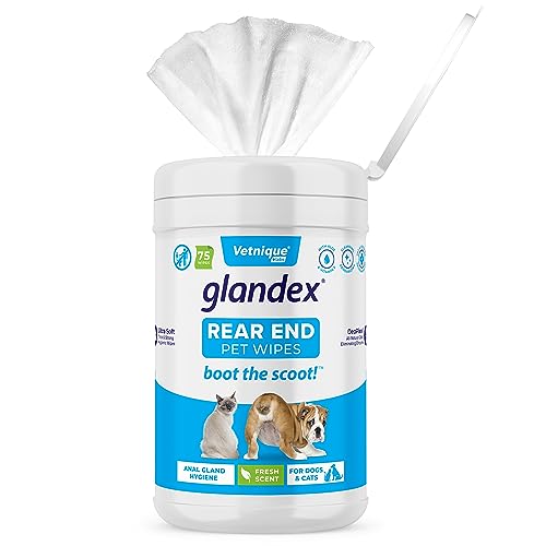 Glandex® Wischtücher für Hunde, Katzen und Haustiere Reinigen desodorierende hygienische Pflegetücher für Analdrüsen (75ct Kanister)