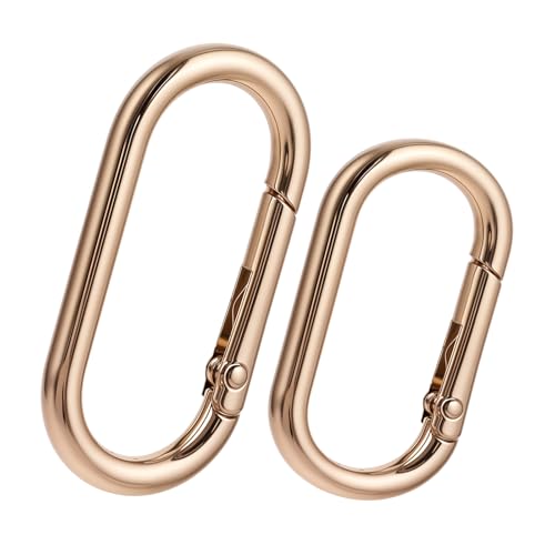 Aeaocvo 2 Stück 40 mm Gold Karabinerhaken Klein, Golden Karabiner Ring Edelstahl, Oval Schlüsselring für Geldbörsen, Schlüsselkette, DIY Handwerk Machen