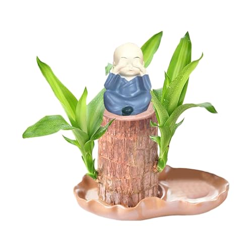 Brasilianisches Glücksholz, Brasilianisches Holz Grünpflanze, Dekoration, Hydroponischer Topfpflanzenstumpf, Brasilianische Pflanze, Mini Lächelnder Buddha, Desktop Ornament (Navy)