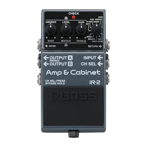 Boss IR-2 Amp & IR Cabinet