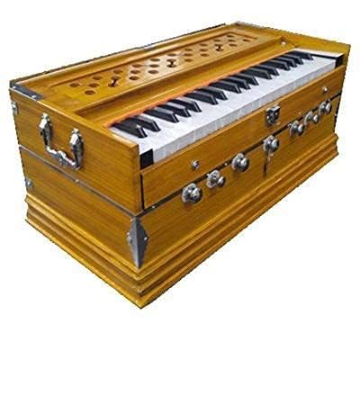 SATYA EXPORTS Harmonium 440 Hz, extra hoch, lang, für Yoga, Bhajan, Größe: 55,9 x 30,5 x 25,4 cm