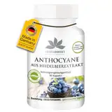 Anthocyane aus Heidelbeerextrakt 25% - 90 Kapseln - vegan | HERBADIREKT by Warnke Vitalstoffe - Deutsche Apothekenqualität