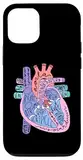 Hülle für iPhone 15 Herzspezialist Anatomie Arzt Medizinische Biologie Organarterie