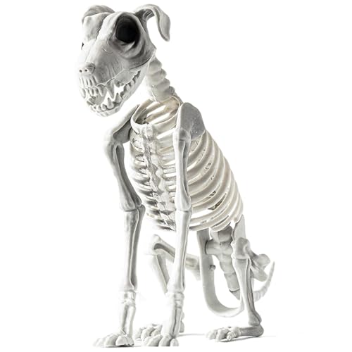 Halloween Skelett Hunde, 31 X 44 cm, Sitzendes Hunde Skelett Deko Mit Realistischen Zähnen, Schreckliche Und Merkwürdige Halloween Deko Für Draußen, Halloween Deko Outdoor Für Spukhaus, Party