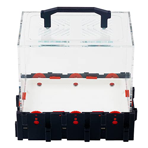Anthouse.es – Modulare 3D-Ameisenhaufen-Futterbox – Modell QBIK Hexa Futterbox – 12,78 x 18,78 x 16,70 cm – Ameisenkolonien – Terrarium
