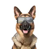 NAMSAN Hundebrille UV-Schutz, Winddicht, Staubdicht, mit Verstellbarem Riemen, für Mittlere bis Große Hunde - Silber