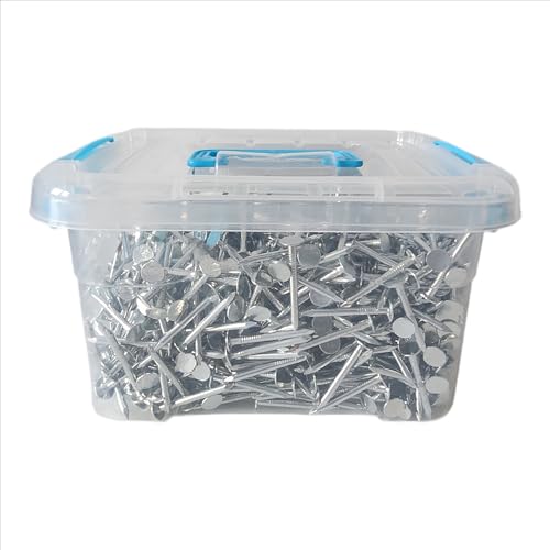 2 kg Pappnägel 3.0x30 Dachpappnägel Dachpappstifte verzinkt (3.0x30mm) Verzinkte Dachpappen-Nägel – 2kg-Packung inkl. praktischer Aufbewahrungsdose + gratis Arbeitshandschuhe