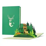 Geburtstagskarte für Jäger, Förster mit Pop up 3D Wald, Hirsch, Fuchs | Gutschein, Einladung zur Jagd | Geschenke für Männer zur Jagdprüfung, Jagdschein, H31