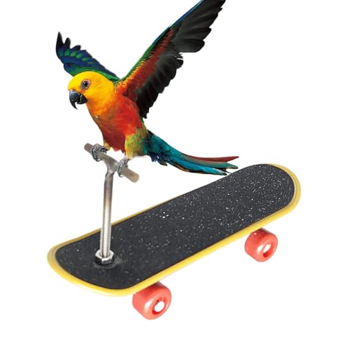 Berriphonia Papageienspielzeug, Trick Trick Trick Zubehör für Parrot – Stenosenstange für Unterhaltung – Bird Toys Intelligence verbessert die Versorgung für Tiere