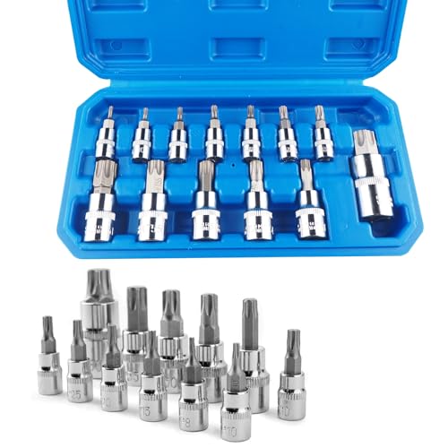 AstralGrip 13-teiliges Torx Bit Set Steckersatz T8-T70, CRV-Sternsteckdosen 1/4, 3/8&1/2-Zoll Antrieb für Mechaniker, Heimwerker, Bauunternehmer, Automobilindustrie und mit Aufbewahrungskoffer