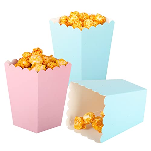 CC wonderland zone 24 Stück Popcorn Tüten Rosa und Blau,Popcorn Boxen Klein,Mini Popcorn Behälter,Popcorn Kästen aus Papier für Partys