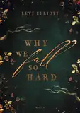 Why We Fall So Hard (Sad End queer Romance)