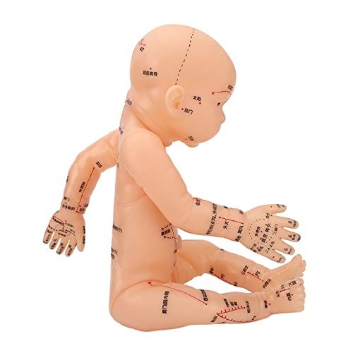 Baby-Akupunktur-Massagemodell, Kinder-Akupunktur-Massagemodell, Akupunktur-Modell Kinder-Massagemodell Pädiatrische Trainingspuppe Akupunkturpunkt-Kindermodell