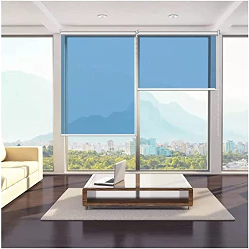 LAIDEPA Rollo Rollos, Einwegperspektive ​HD Transparente Sonnenschutzrollos, Fenster Rollos Für Innen Ohne Bohren, Für Schlafzimmer, Küchen, Büros, Wohnzimmer, Wartebereiche,140x100cm/55x39in