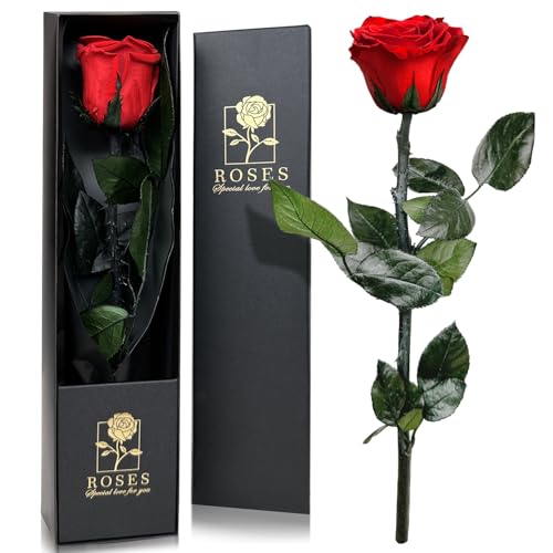 QHHENTOO Infinity Rose in Geschenkbox, Ewige Rose mit Stiel Geschenke für Frauen Echte Rosen Eine Konservierte Blume für Mama Damen Freundin zum Geburtstag Valentinstag Weihnachten Muttertag - Rot