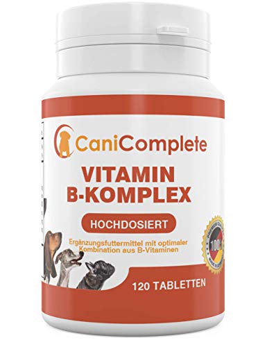 CaniComplete Vitamin B Komplex Hochdosiert Für Hunde, Katzen - Optimale Kombination Aus B1, B2, B3, B5, B6, B9, B12- Multivitamin Zur Stärkung des Immunsystems