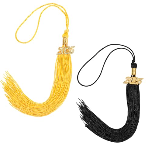2 Stück Graduation Quasten Mit Gold 2025 Charm, Zubehör Für Abschlusskappen, Quaste Dekorationen Für Bachelor Master Doktorhut, 2 Farben Quasten Anhänger