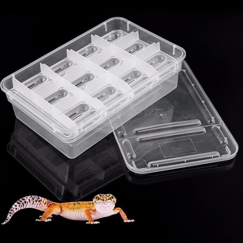 Reptilien Brutkasten, Reptilien Eier Inkubator, Reptilien Eier Brutschrank, Reptilien Eier Brutkasten, Eidechse Inkubator Brutkasten, Brutkasten für Reptilien Eier, Eidechsen Reptilien Inkubationsbox