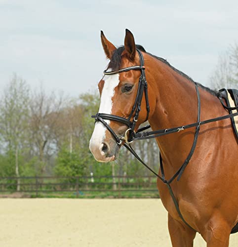 BUSSE Thiedemann-Kombination, Warmblut, schwarz/Beschläge vernickelt