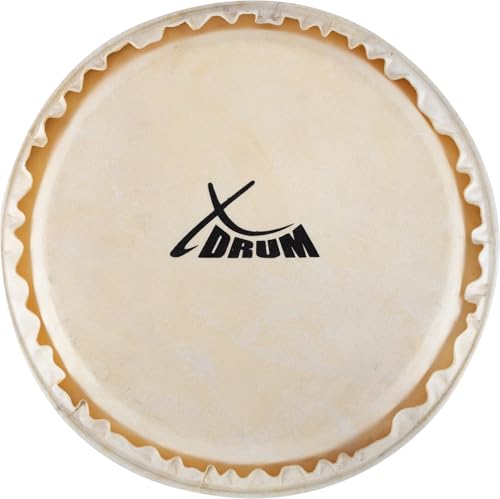 XDrum Bongo Fell 7,5" - Natur-Fell für Bongo-Trommel - Durchmesser: 7,5 Zoll - Natur