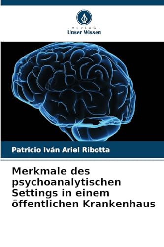 Merkmale des psychoanalytischen Settings in einem öffentlichen Krankenhaus