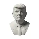 YANGJJ Präsident Trump Gipsbüsten-Skulptur, Maga, lebensechte geschnitzte Gipskopf-Statue, Gipskopf, Skizze, Porträtwerkzeug, Schreibtisch-Bücherregal-Dekoration, 10 cm