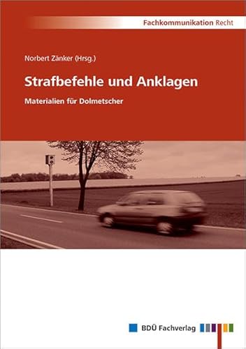 Strafbefehle und Anklagen