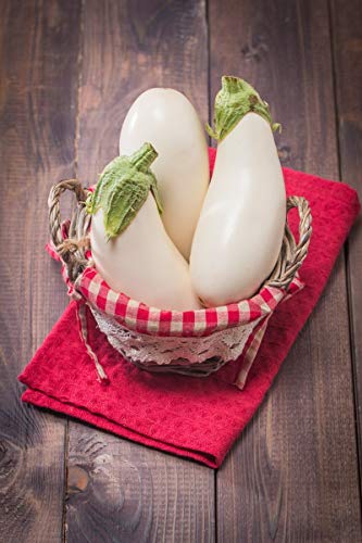 White egg aubergine - seeds