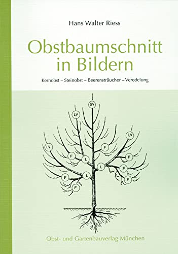 Obstbaumschnitt in Bildern: Kernobst - Steinobst - Beerensträucher - Veredlung