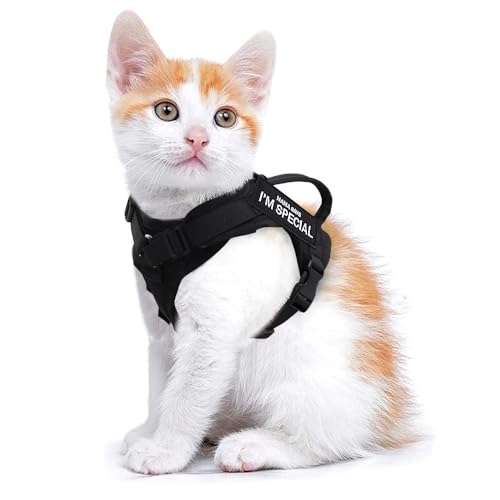 DCNIYT Nylon-Katzengeschirr mit 2 Aufklebern, Militär-Katzengeschirr mit Griff, Katzen, kleine Hunde, Haustier-Training, Spazierengehen, Chihuahua, Schwarz