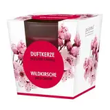pajoma® Duftkerze, Wildkirsche - im satinierten Glas | 120g Wachsgewicht, Brenndauer: 25 Stunden, in edler Geschenkverpackung | Premium Qualität