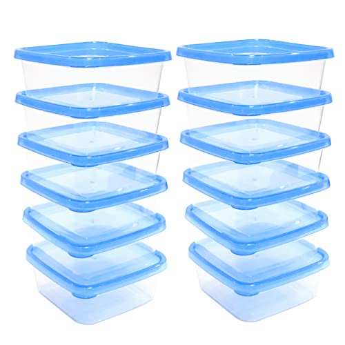 vicihoho 10 Stück 0,6 Liter Frischhaltedose Mealprep Set BPA-freie Lebensmittelbehälter Vorratsdosen Gefrierdosen Essensbox Lunchbox für Geschirrspüler, Mikrowelle und Kühlschränke Kunststoff (PP)