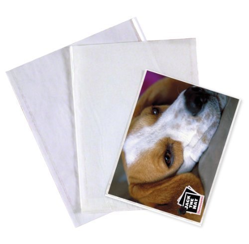Doppelseitiges Fotopapier, transparent, 50 Stück Beutel zur Aufbewahrung von verschickt. 33.02 cm x 27.94 cm Archiv Dokumentenmappe/Ordner/Beutel