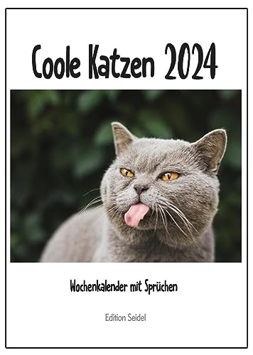 Edition Seidel Premium Kalender Coole Katzen Wochenkalender 2024 Format DIN A4 Wandkalender Katzenkalender mit lustigen Sprüchen und Zitaten Tiere Katze Kater Kitten Kätzchen