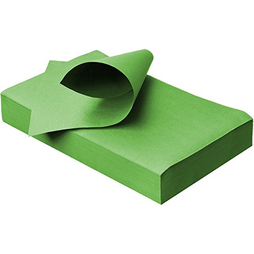 wellsamed Traypapier, Trayfilterpapier, Papiereinlagen, Trayauflage, 250 Blatt, 18 x 28 cm, fresh green