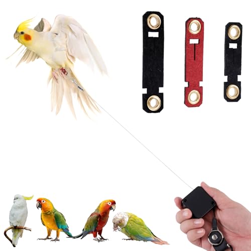 Einziehbar Vogel Leine, 2m Vogel Geschirr mit 3 Fußringen Sittich Fluggeschirr Papageien Leine Outdoor Flugtrainingsset für Nymphensittiche Wellensittiche Sittiche (Schwarz)