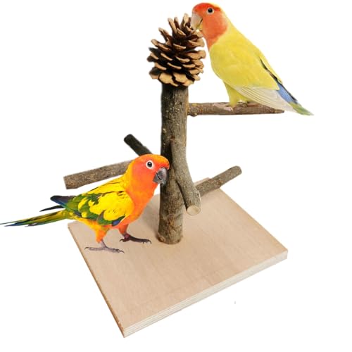 Vogelhalter für Papageien – Kakaduspark aus Holz, Halterung für Papageientisch, Vogelspielständer, Papageien-Tischstange, Indoor-Park
