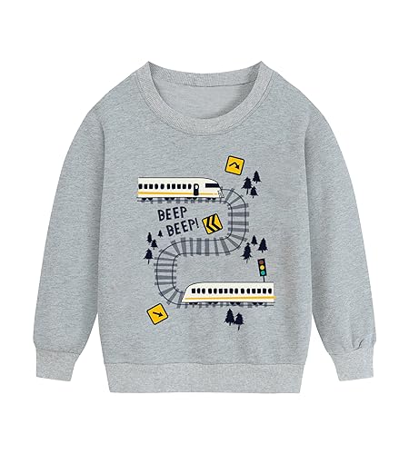 DHASIUE Kleinkind Jungen Sweatshirt Pullover mit Zug Langarmshirt Kinder Winter Baumwolle Shirt 92