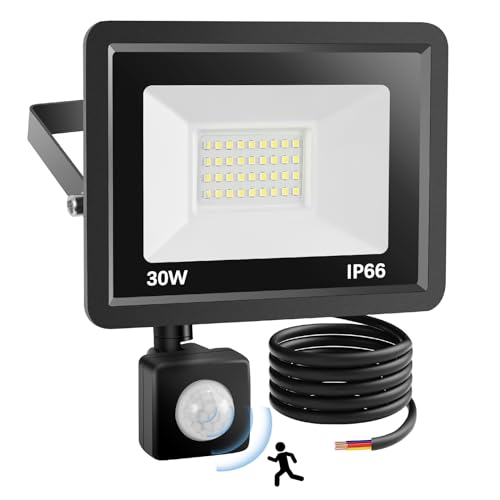 YAMYONE 30W LED Strahler mit Bewegungsmelder Außen, PIR Flutlicht 2700LM, Sicherheitslampe IP66 Wasserdicht, 6500K Weißes Tageslicht für Lagerplatz Spielplatz Hinterhof Garten Flutlicht (30W)