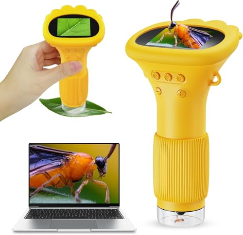Handy-Mikroskop für Kinder, Ashfly 200X tragbares Taschenmikroskop, 2,0" IPS-Bildschirm USB Microscope LED Lights -Anschluss an PC, Mini-Mikroskop draussen ab 3 Jahren-Orange(Bildungsgeschenk)