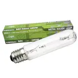 Weedness Grow MHL Leuchtmittel 600 Watt für Wachstumsphase - Metallhalogenlampe Natriumdampflampe Anbau Indoor Lampe Pflanzenlampe Birne