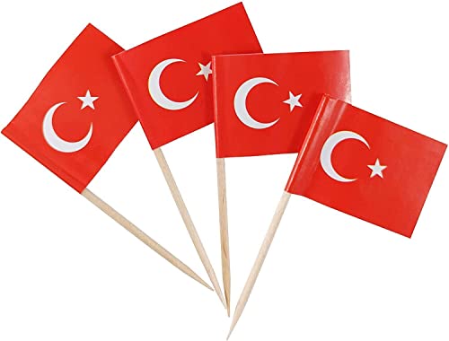 50 Stück * Flaggenpicker + Zahnstocher * für Party und Länderparty | Flag Picks Deko Dekoration Partydeko Fahne Flaggen Länder, Edition: Türkei
