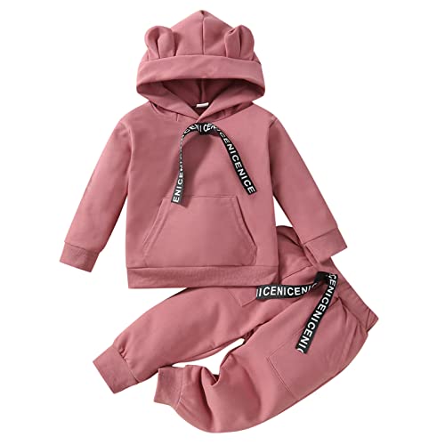 Kleinkind Kinder Kinder Kleinkind Baby Mädchen Jungen Langarm Niedlichen Tiere Hoodie Sweatshirt Pullover Tops Baumwolle Hosen Hosen Outfit Set 2 Kinder Anziehsachen Für Mädchen (Pink, 18-24 Months)