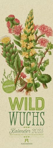 Wildwuchs - Botanische Illustrationen Kalender 2025, Wandkalender auf Graspapier, Hochformat (24x66 cm) - Kräuter, Pflanzen, hist. Chromolithografien