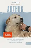 Arthur. Der Hund, der den Dschungel durchquerte, um ein Zuhause zu finden: Die Buchvorlage zum Film "Arthur der Große" mit Mark Wahlberg (301 - Edel Edition)