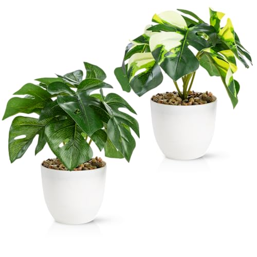 PASCH® 2er Set Kunstpflanzen wie echt (18cm) in bruchfesten Melamintöpfen | Kunstpflanzen im Topf | Künstliche Pflanzen im Topf | Kunstblumen Fake Plant