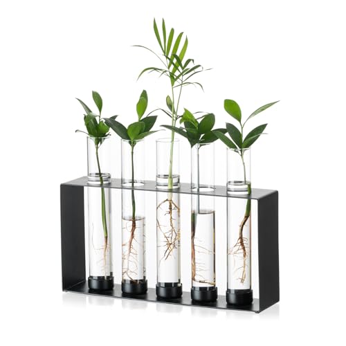 Sziqiqi Pflanzen Propagation Station - Glas Terrarium Vase mit 5 Reagenzgläsern für Hydroponik Pflanzen Stecklinge Moderne Metallvase für Blumen Schwarz Desktop Vasen für Haus Büro Dekor