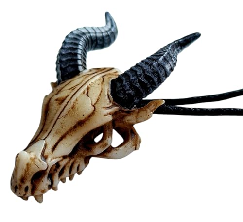 VALHALLA Drachen-Halskette, Herren-Drachen-Anhänger-Halskette für Damen, Totenkopf-Unisex-Drachenschmuck, Valentinstagsgeschenke für Männer und Mädchen