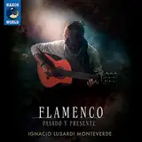 Flamenco - Pasado y Presente