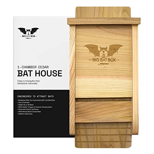 Wildyard Bat House for Outdoors - Der Komplette Fledermauskasten für den Außenbereich - Säubere deinen Garten von Mücken - Fledermauskasten ohne Lack innen - Eine Kammer Zedernholz-Fledermauska